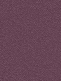 Frame 1618875519.jpg