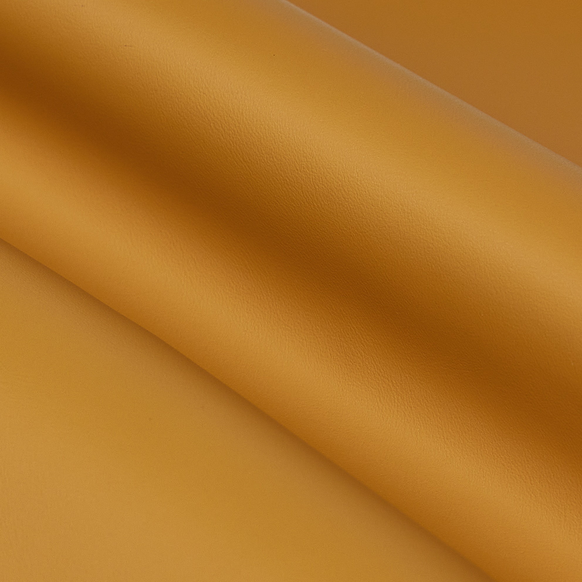 HA-EC-Elara-02-SM姜黄.jpg